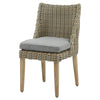 Rattan-Style Dining Chair with Metal Frame