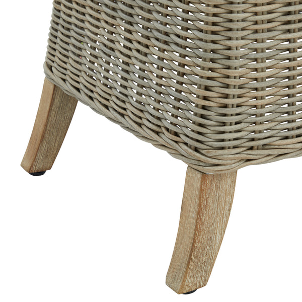 Modern Rattan-Style Dining Chair with Metal Finish