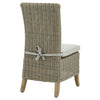 Modern Rattan-Style Dining Chair with Metal Finish