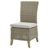 Modern Rattan-Style Dining Chair with Metal Finish