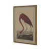 Crimson Flamingo' Glass Framed Art Print