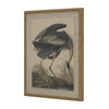 'Grey Heron' Glass Framed Art Print - Elegant Coastal Bird