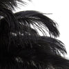 Black Ostrich Feather Table Lamp