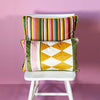 Luxe Multicoloured Stripe Velvet Cushion