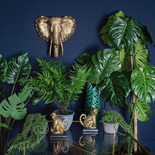 Multiple plant pots on a glass table and an elephant head wall decoration