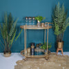 A gold bar cart with various decorative items placed between two plant pots