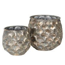 Load image into Gallery viewer, Antique Petal Planters | Set of 2