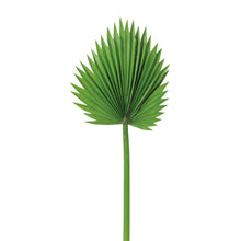 Load image into Gallery viewer, Artificial Exotic Fan Palm Stem