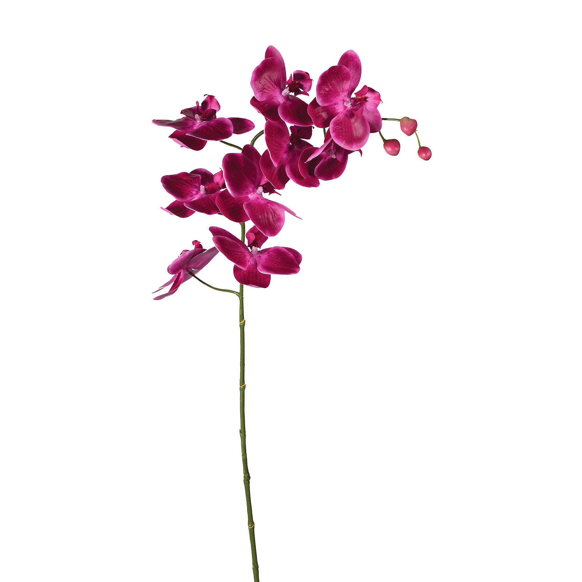 Artificial Exotic Orchid in Vibrant Pink