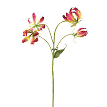 Load image into Gallery viewer, Artificial Vibrant Pink Gloriosa Spray | Set of 3