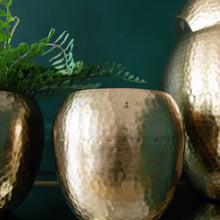 Load image into Gallery viewer, Beaten Gold Plant Pots | Set of 3