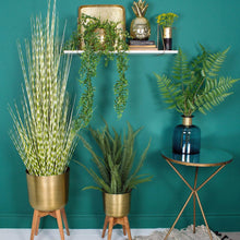 Load image into Gallery viewer, Brass Planter with Stand
