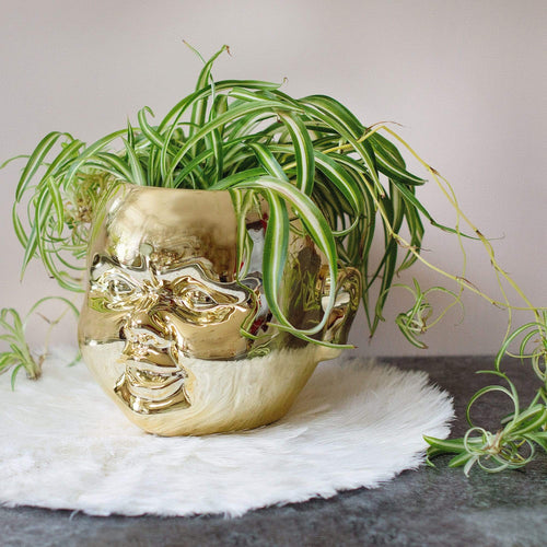 Dolls Head Plant Pot (Large)