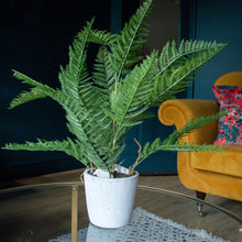 Load image into Gallery viewer, Faux Bracken Fern with Cement Pot | H42cm