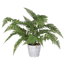 Load image into Gallery viewer, Faux Bracken Fern with Cement Pot | H42cm
