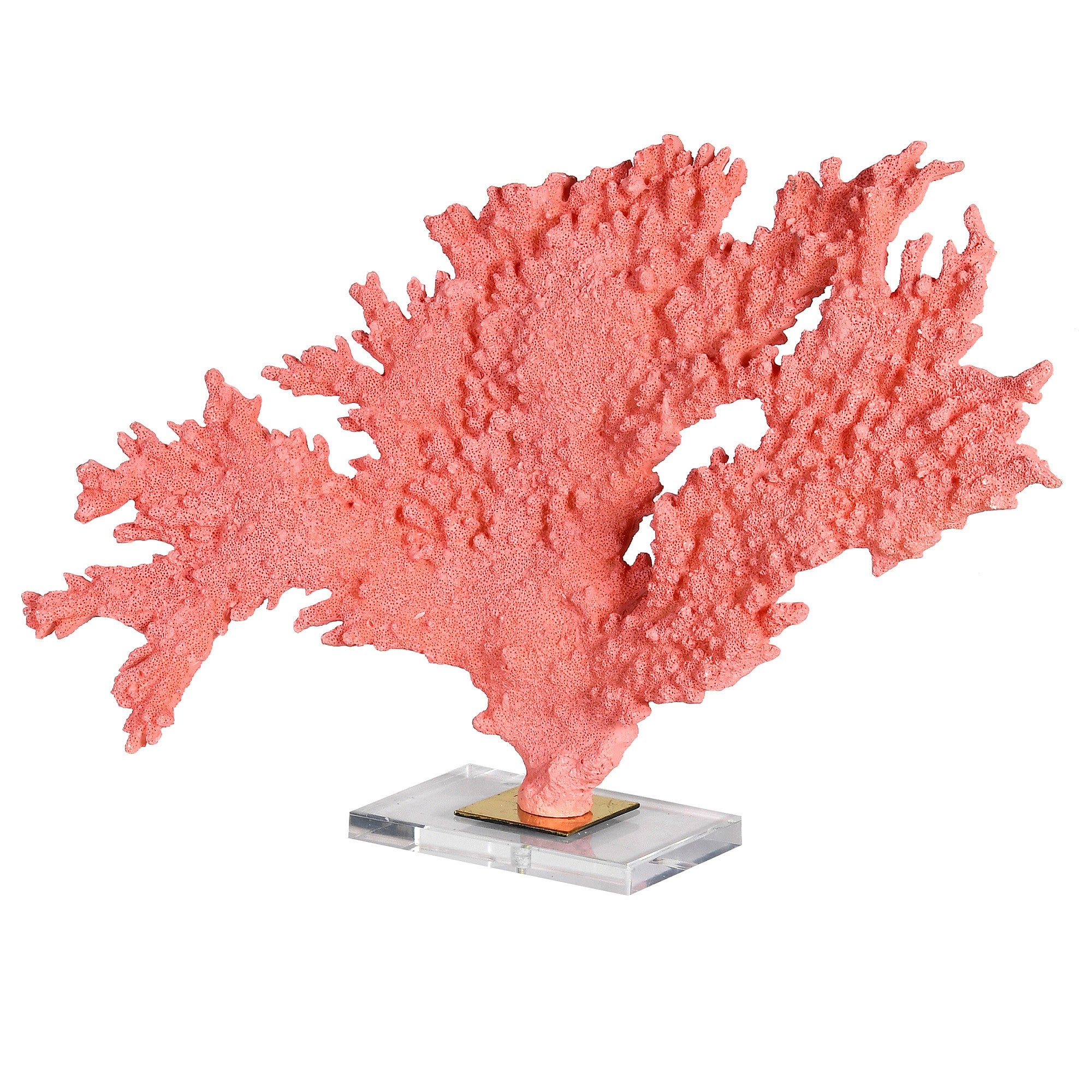 Faux Coral On Acrylic Base