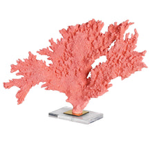 Load image into Gallery viewer, Faux Coral On Acrylic Base