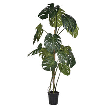 Load image into Gallery viewer, Faux Luscious Monstera Tree | H146cm