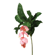 Load image into Gallery viewer, Faux Pink Medinilla Tropical Flower | Set of 2