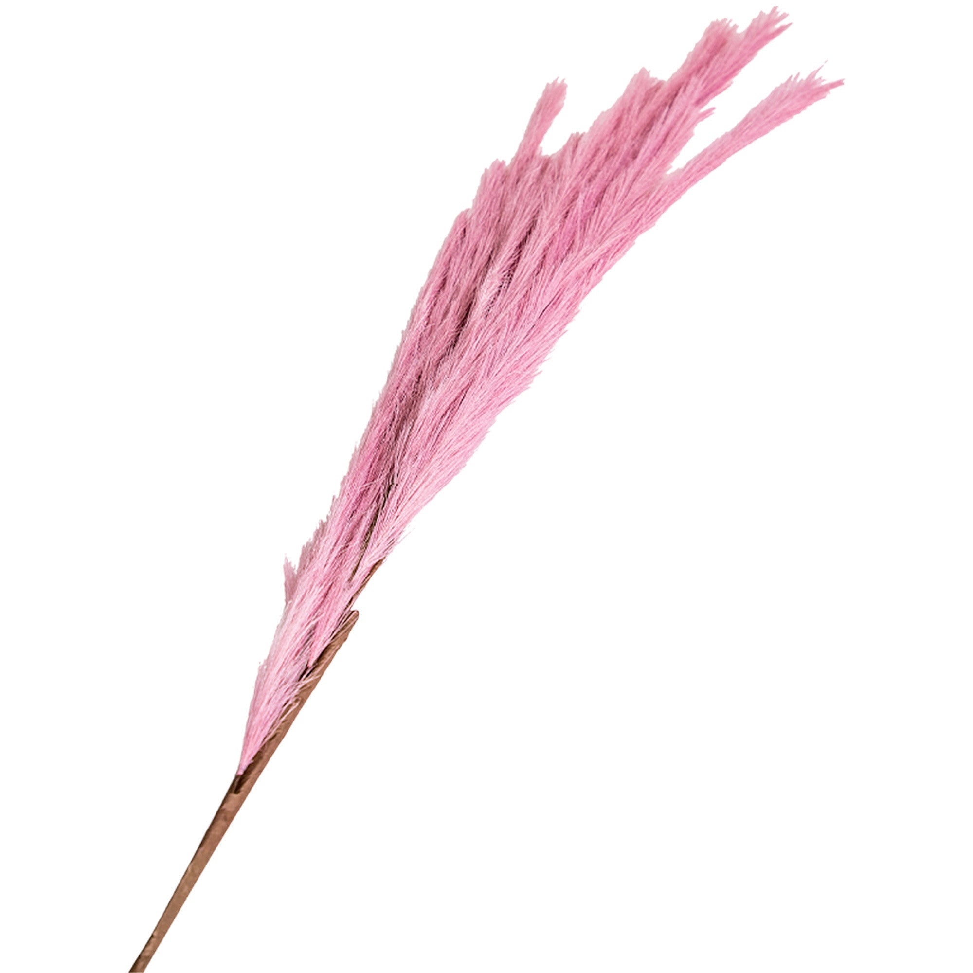 Faux Pink Silvergrass Stems | Set of 2