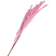 Load image into Gallery viewer, Faux Pink Silvergrass Stems | Set of 2