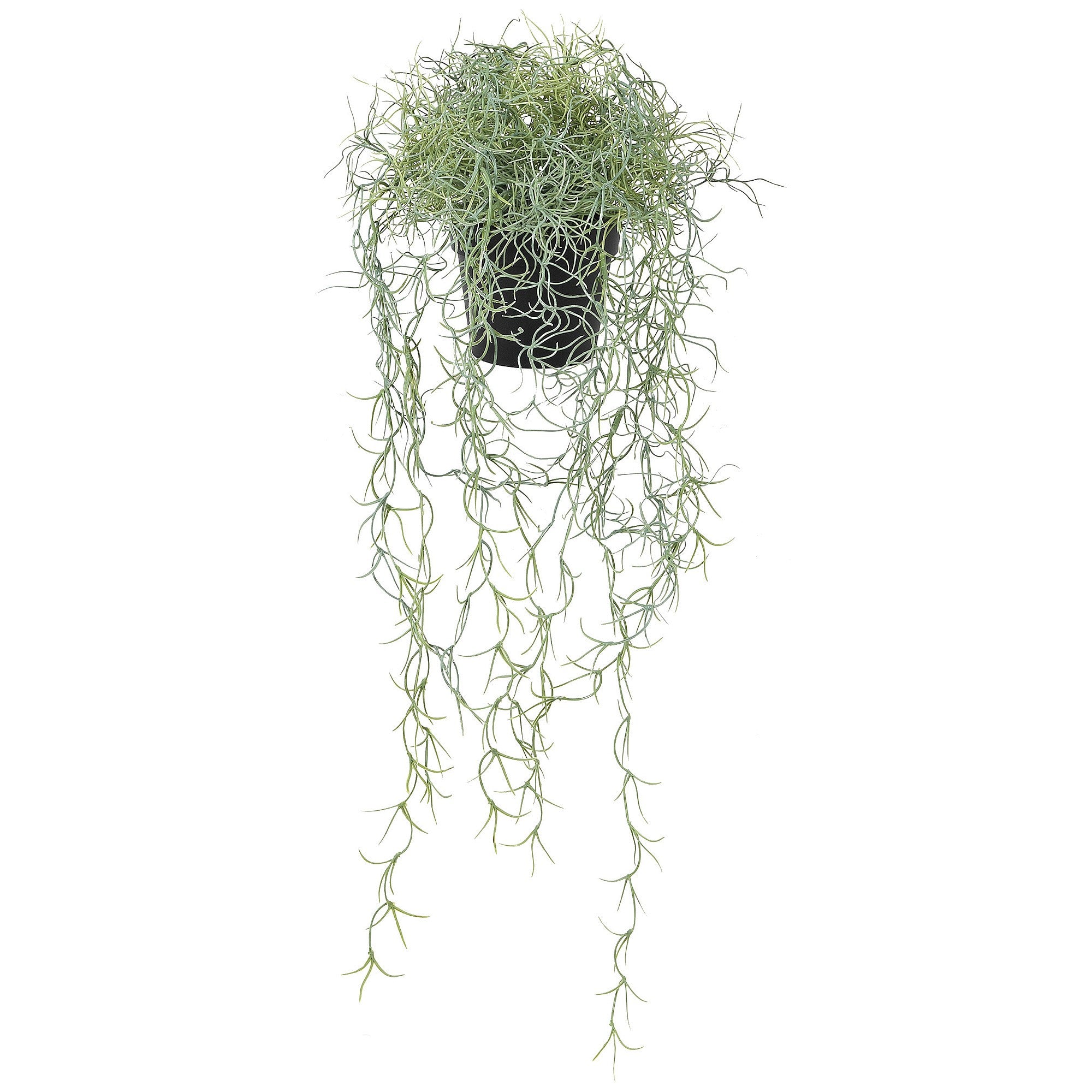 Faux Potted Trailing Spanish Moss