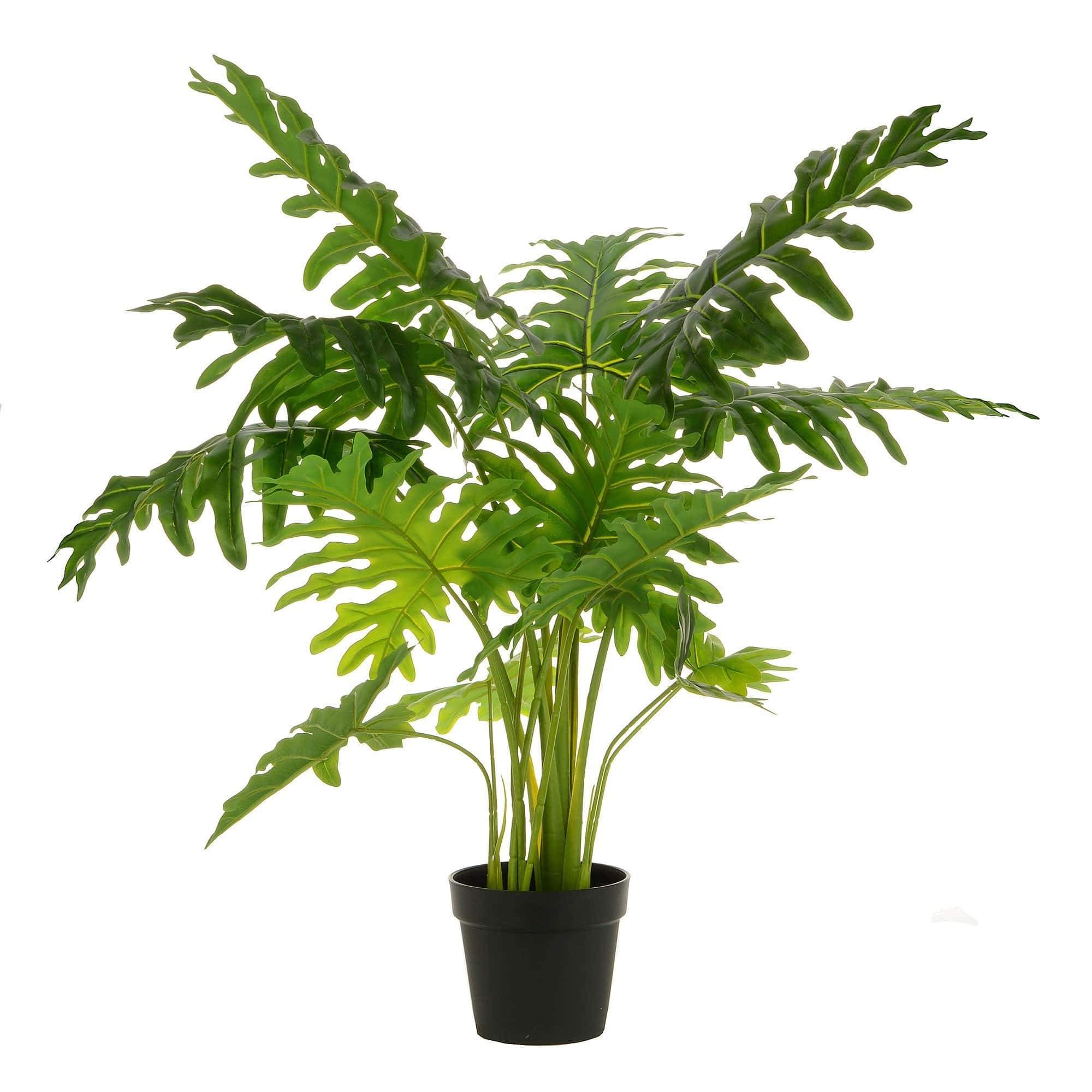 Faux Split Philodendron Potted Plant | H110cm