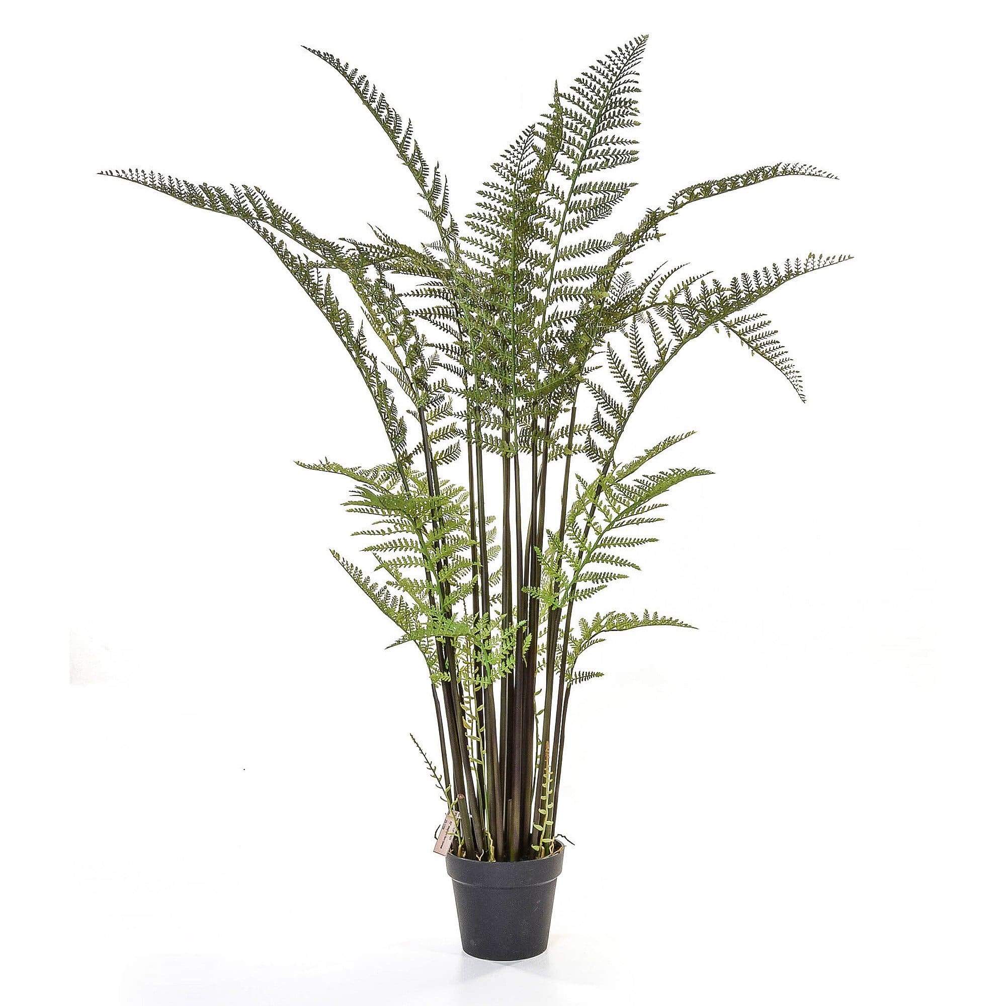 Faux Staghorn Fern Potted Plant