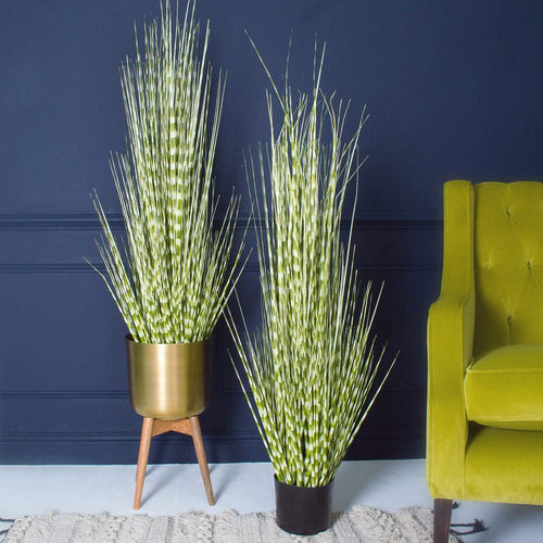 Faux Zebra Grass House Plant