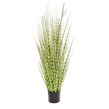 Load image into Gallery viewer, Faux Zebra Grass House Plant