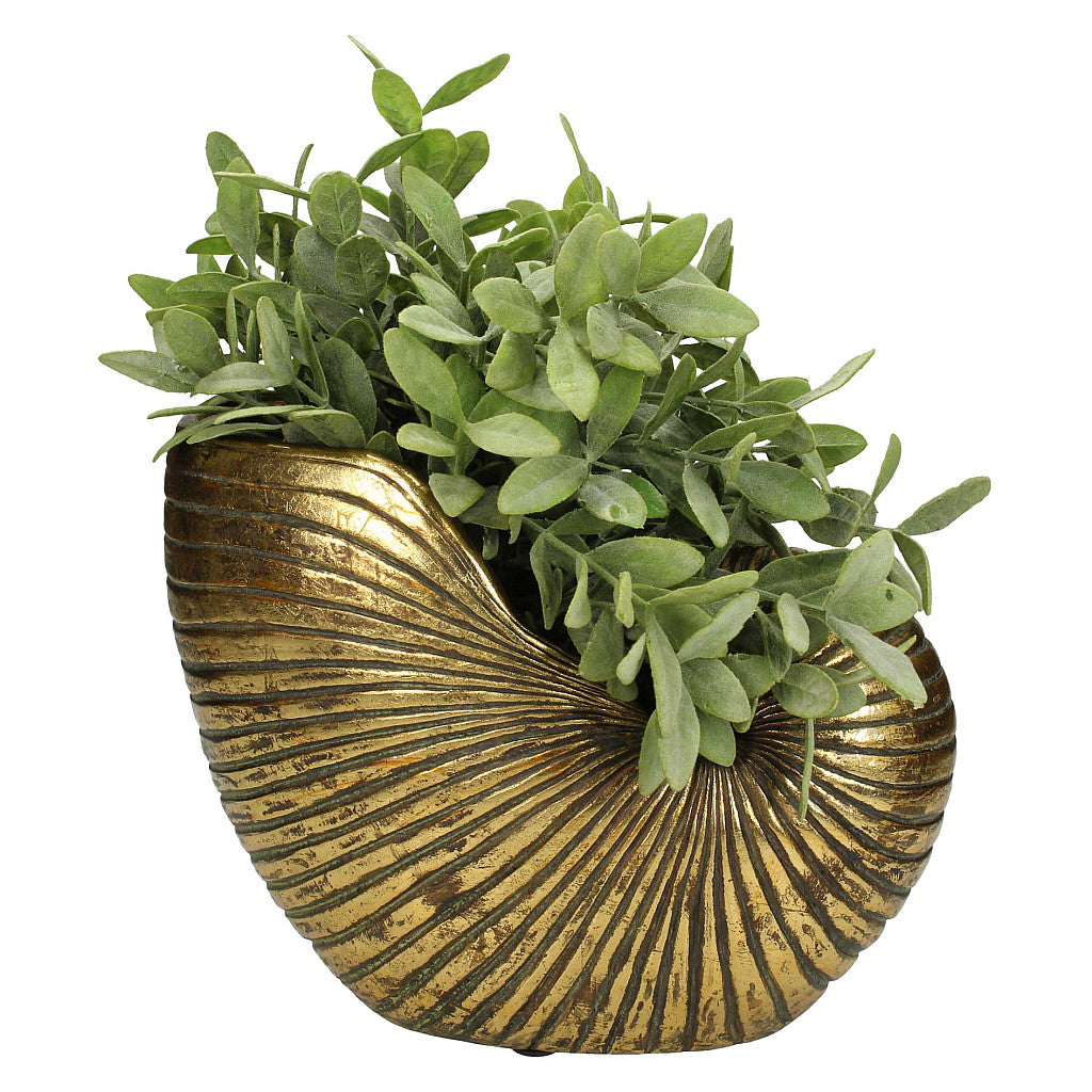 Glorious Gold Shell Planter
