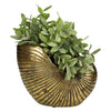 A gold shell planter with green plants on a white background