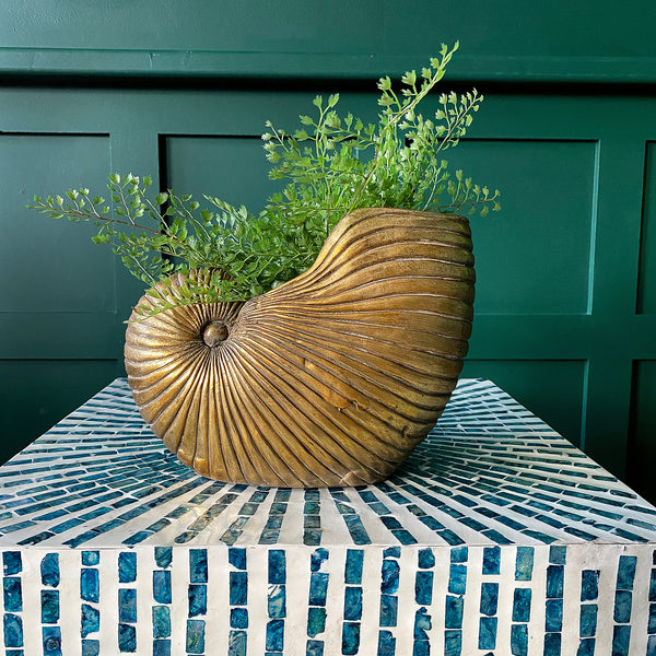 A gold shell planter with green plants is placed on a mosaic table