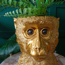 Load image into Gallery viewer, Go Ape For This Plant Pot