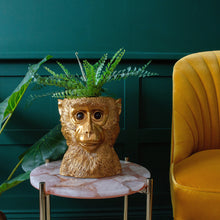 Load image into Gallery viewer, Go Ape For This Plant Pot