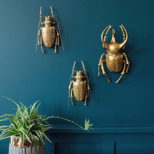 Three gold beetle wall decor and a plant pot placed in front of it