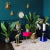 A room with gold beetle wall decor, a mirror, various plant pots, and other decorative items