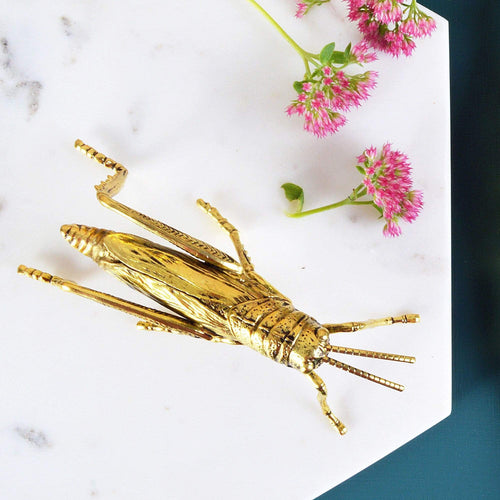 Gold Grasshopper