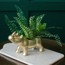Load image into Gallery viewer, Gold Roaming Rhino Planter - Second