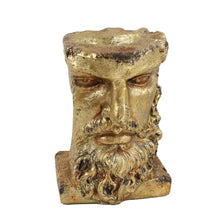 Load image into Gallery viewer, Gold Titan Bust Planter