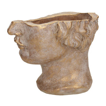 Load image into Gallery viewer, Golden Concrete Face Planter