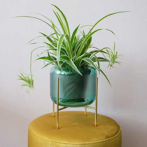 Green Glass Plant Pot on Stand