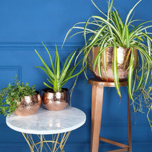 Load image into Gallery viewer, Hammered Copper Plant Pots