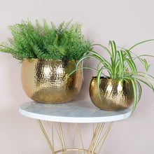 Load image into Gallery viewer, Hammered Gold Plant Pots
