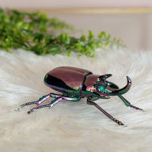 Load image into Gallery viewer, Iridescent Metal Stag Beetle