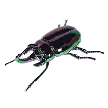 Load image into Gallery viewer, Iridescent Metal Stag Beetle