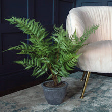 Load image into Gallery viewer, Luscious Faux Potted Bracken Fern | H60cm