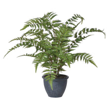 Load image into Gallery viewer, Luscious Faux Potted Bracken Fern | H60cm