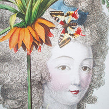 Load image into Gallery viewer, Marie Antoinette Print | With Hanger