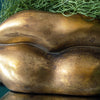 Close-up of a golden lips planter with plants